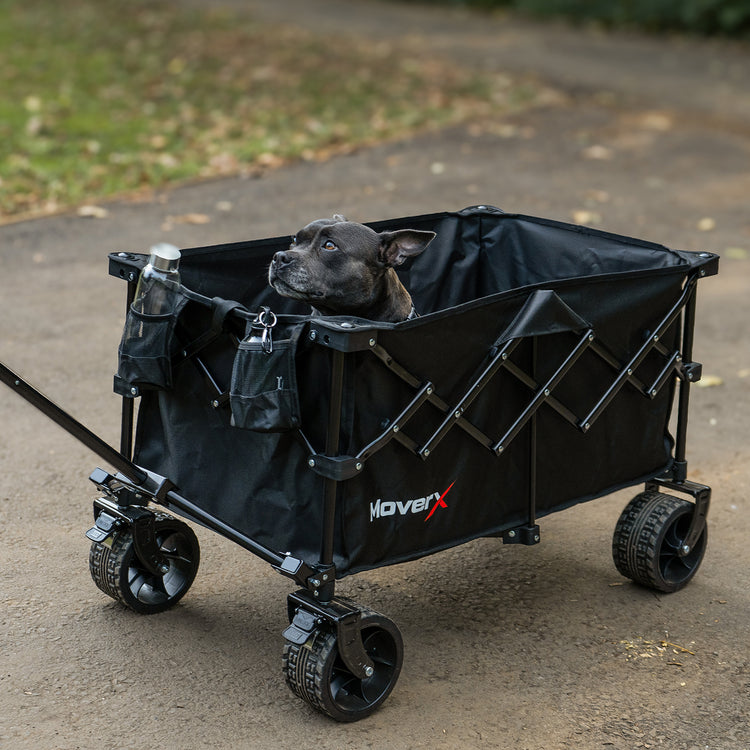 Best Foldable Heavy Duty Outdoors Wagon Trolley Cart for Camping, Festivals, Shopping, Walks, Beach Dog Pet Care